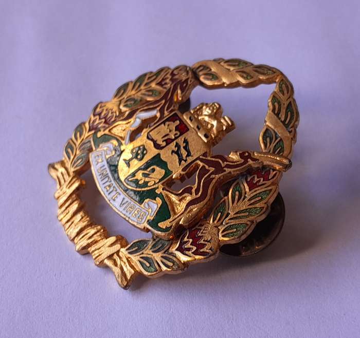 SA Prison Service Warrant Officer Cap Badge.  Gilt And Enamel. Pins Intact.