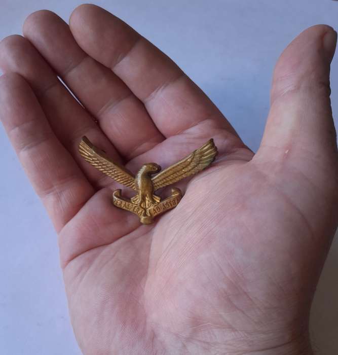 Early SA Airforce Cap Badge.  Screw Lug Intact.