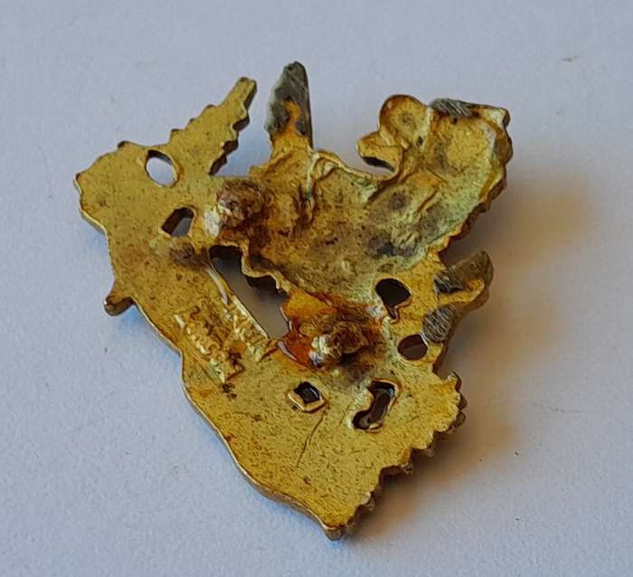 Rhodesia British South African Police Badge.  No Lugs.