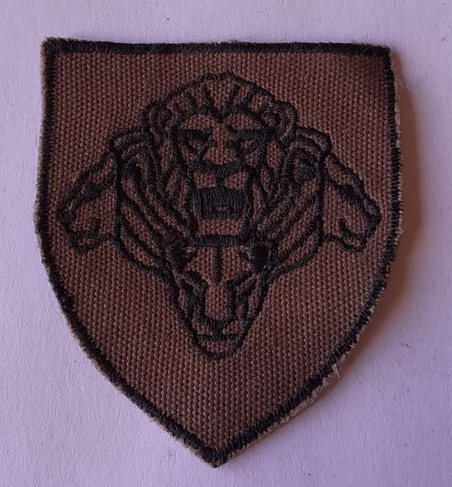 SANDF "Pride of Lions" Army Flash.