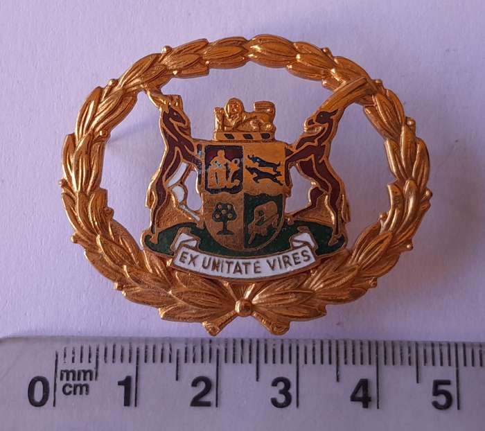 Early SA Police Warrant Officer's Rank Badge.  Pins Intact.
