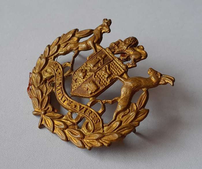 SADF Warrant Officer 1 Badge.  Pins Intact.