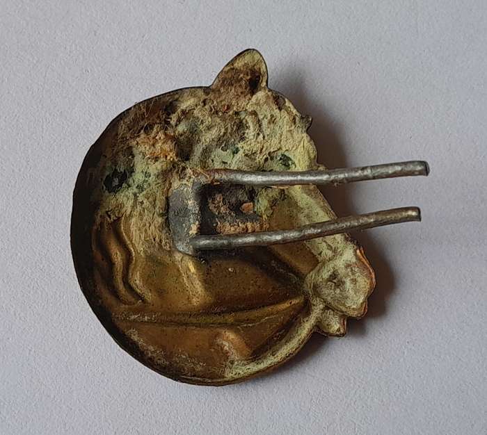 Unknown Badge.  Pins Intact.