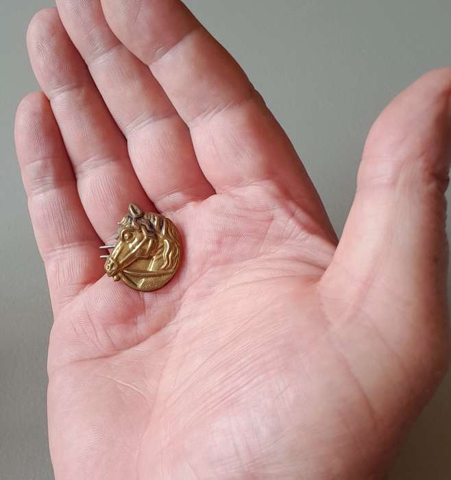 Unknown Badge.  Pins Intact.
