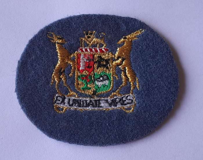 SA Air Force Warrant Officer Class 2 Rank Badge.