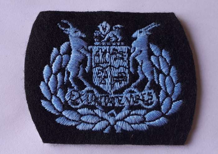 SA Air Force Warrant Officer Class 1 Rank Badge.