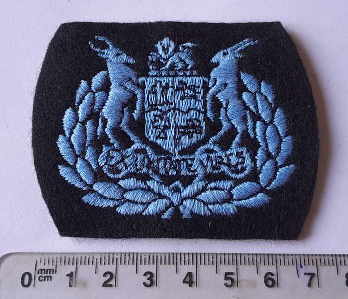 SA Air Force Warrant Officer Class 1 Rank Badge.