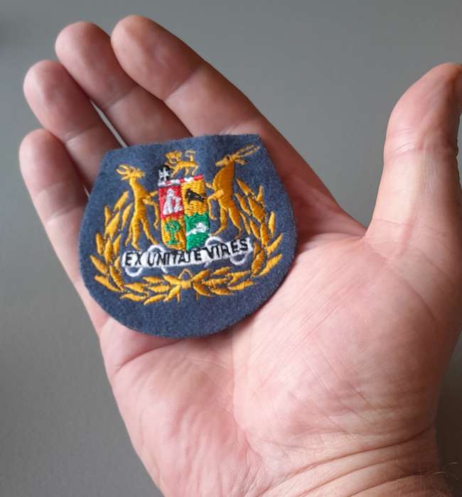 SA Air Force Warrant Officer Class 1 Rank Badge.