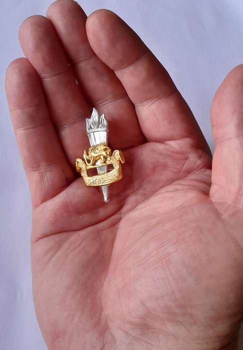 Rhodesian Army Education Corps Cap Badge.  Lugs Intact.