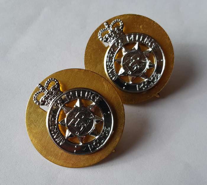 Pair Ministry of Defence Police Anodised Aluminium Collar Badges with Backplates.