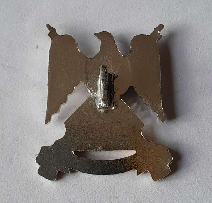 Royal Scots Dragoon Guards Anodised Aluminium Badge.  Lug Intact.