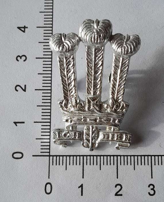 Welsh Brigade Anodised Aliminium Badge.  Lugs Intact.