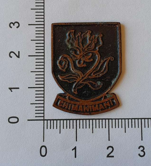 Rare Vintage Rhodesian "Chimanimani" Metal Badge.