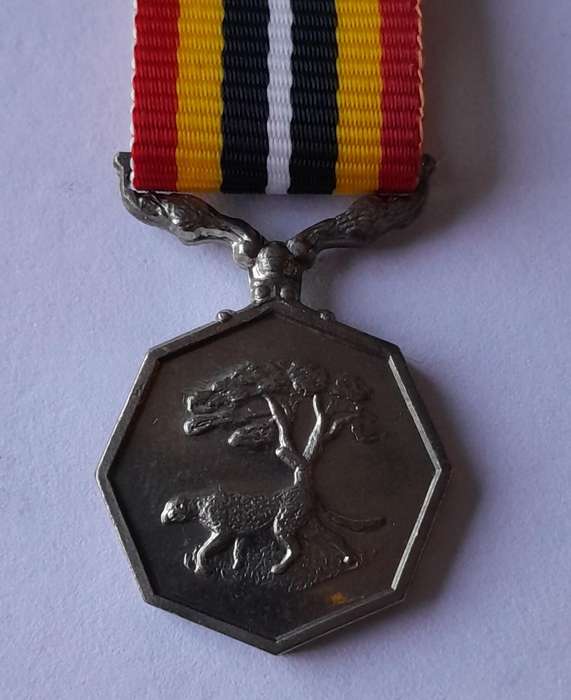 Southern Africa Miniature Medal.