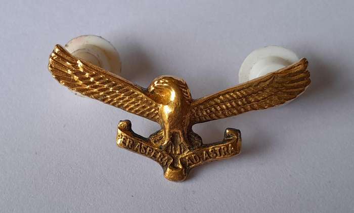 Pair SA Air Force Collar Badges.  Pins Intact.