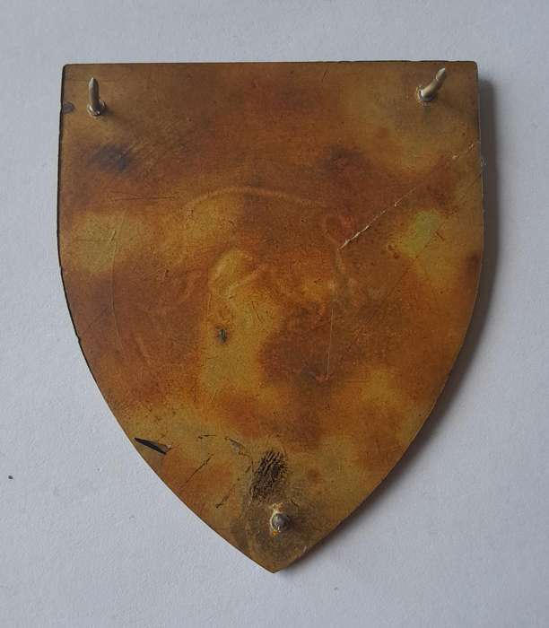 SADF South Coast Commando Shoulder Flash.  All Pins Intact.