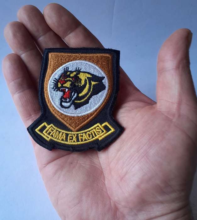 SA Air Force 19 Squadron Flight Suit Patch.