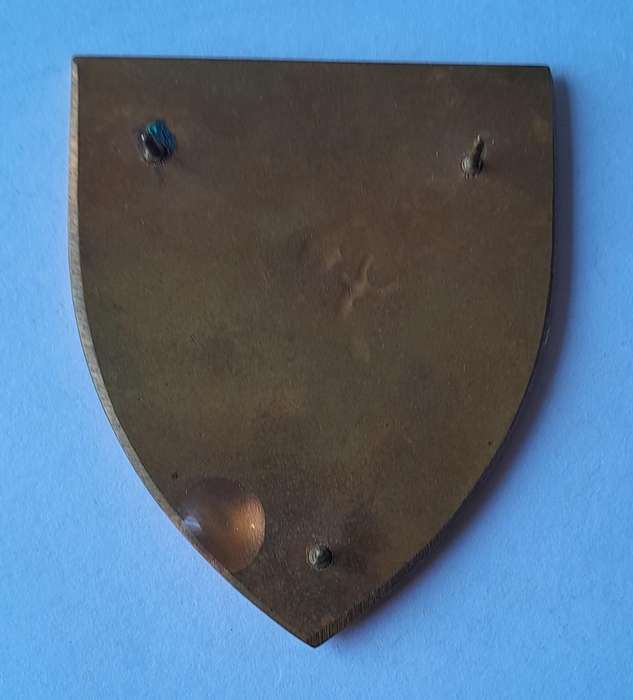 SA Air Force 19 Squadron Metal Flash.  All Pins Intact.