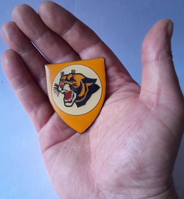 SA Air Force 19 Squadron Metal Flash.  All Pins Intact.