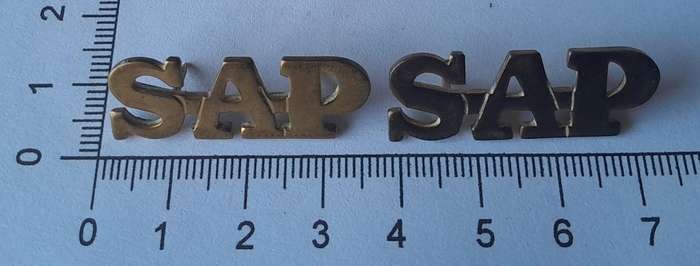 Pair Vintage SA Police Metal Shoulder Titles.  Pins Intact.