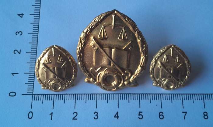 Vintage SA Prison Services Badge Set.  Cap & 2 Collars.  Screw Lugs / Pins Intact.