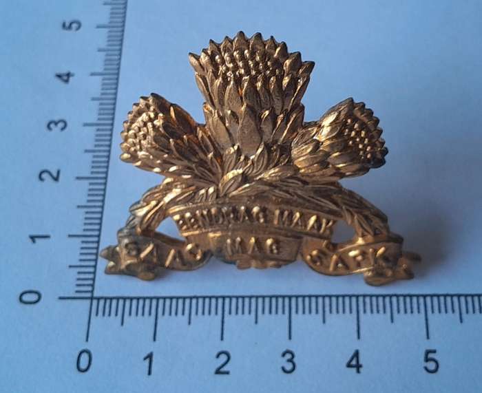 SA Armoured Corps Cap Badge.  Screw Lugs Intact.