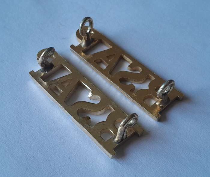 Pair Rhodesian BSAP (British South African Police) Shoulder Titles.  Lugs Intact.