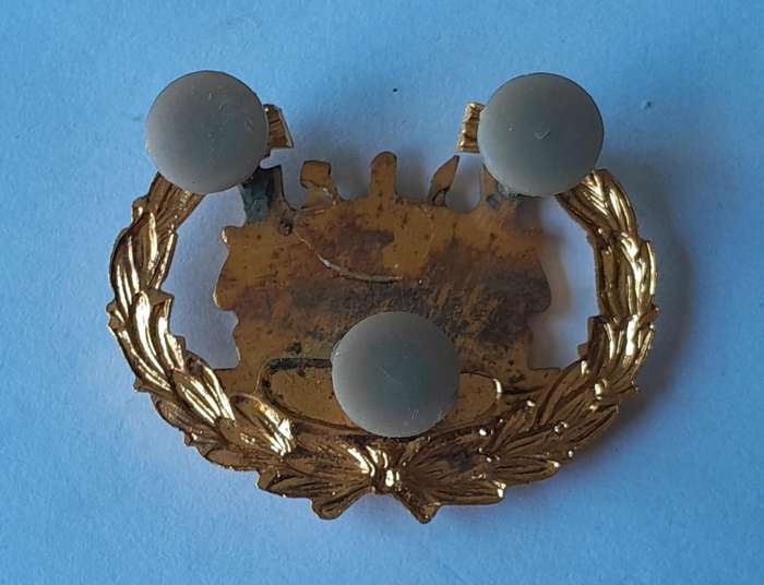 Vintage Bophuthatswana Army Warrant Officer Rank Badge.  Pins Intact.