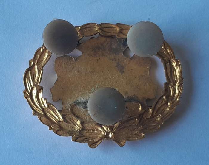 SA Homelands Kangwane Police Warrant Officer Badge.  Pins Intact.