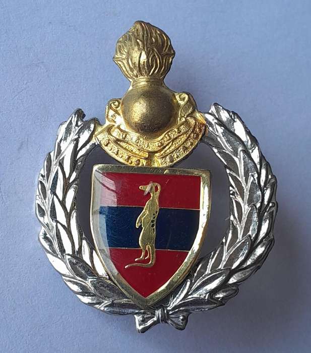 SADF 6 Field Engineer Regiment Cap Badge.  Screw Lugs Intact.