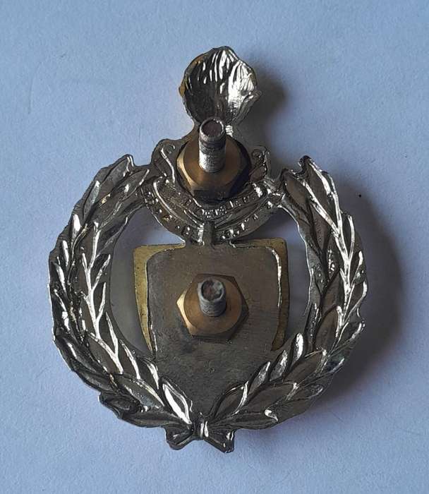 SADF 6 Field Engineer Regiment Cap Badge.  Screw Lugs Intact.