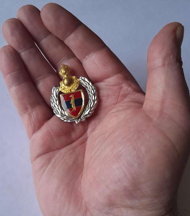 SADF 6 Field Engineer Regiment Cap Badge.  Screw Lugs Intact.