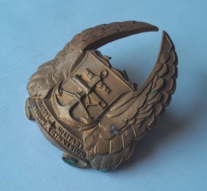 SADF Gymnasium Cap Badge.  Screw Lugs Intact.