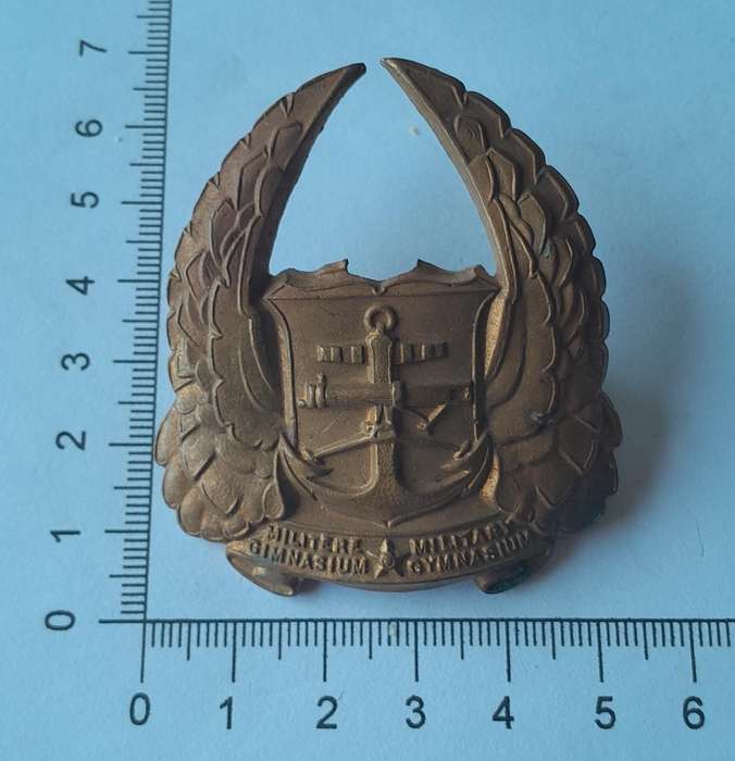 SADF Gymnasium Cap Badge.  Screw Lugs Intact.