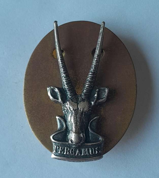 South West African Territorial Force (SWATF) Cap Badge With Back Plate.