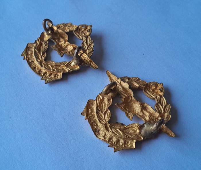 Pair WW2 SA Air Force Collar Badges (facing).  Lugs Intact.