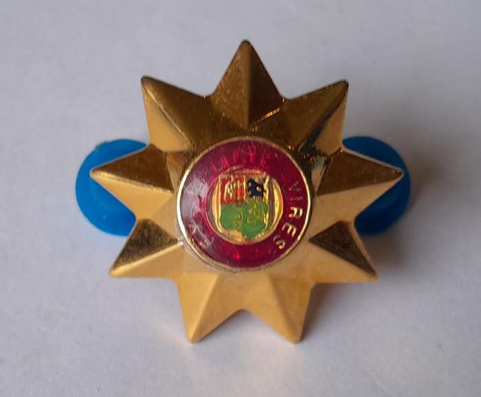 Set of 4 SADF 9 Point Rank Pips.  Pins Intact.