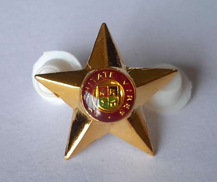 Set of 8 SADF 5 Point Rank Pips.  Pins Intact.