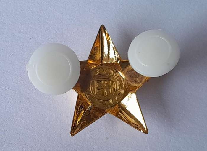 Set of 8 SADF 5 Point Rank Pips.  Pins Intact.