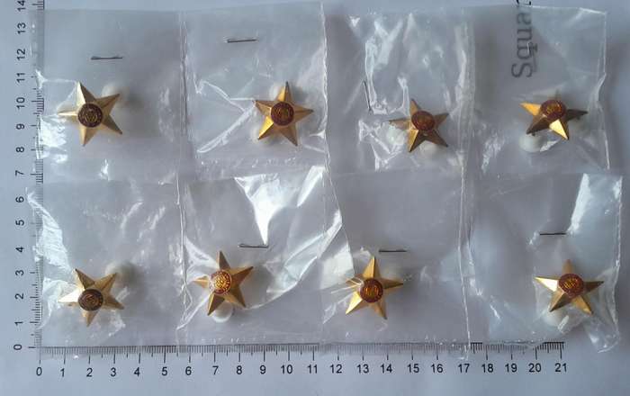 Set of 8 SADF 5 Point Rank Pips.  Pins Intact.