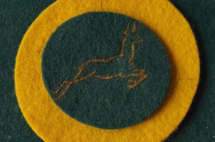 Rare Vintage Springbok Roundel Cloth Badge