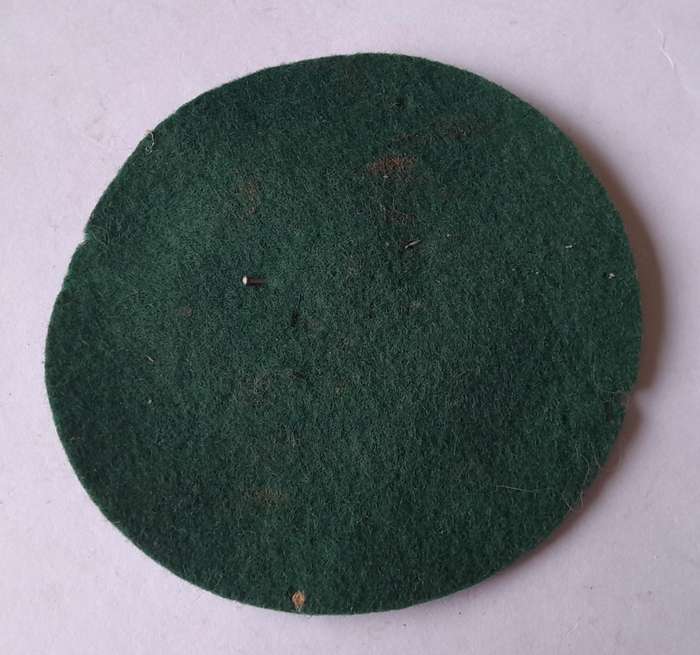 Rare Vintage Springbok Roundel Cloth Badge