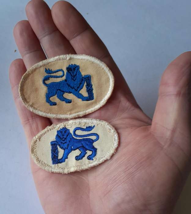 Pair SADF Navy Chief Petty Officer Rank Badges.