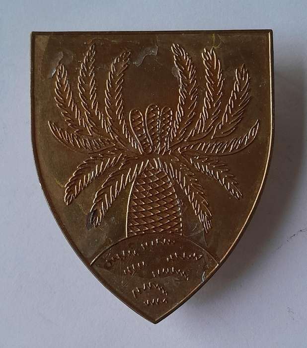 SADF 4 SAI Shoulder Flash (No Lucite).  Pins Intact.