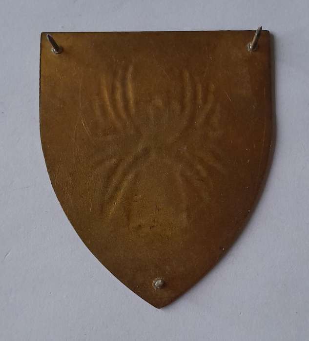 SADF 4 SAI Shoulder Flash (No Lucite).  Pins Intact.