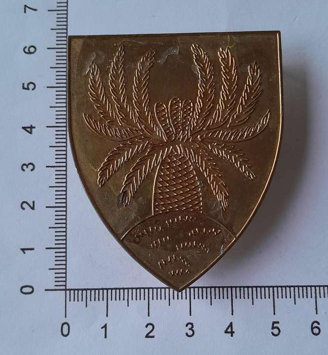 SADF 4 SAI Shoulder Flash (No Lucite).  Pins Intact.