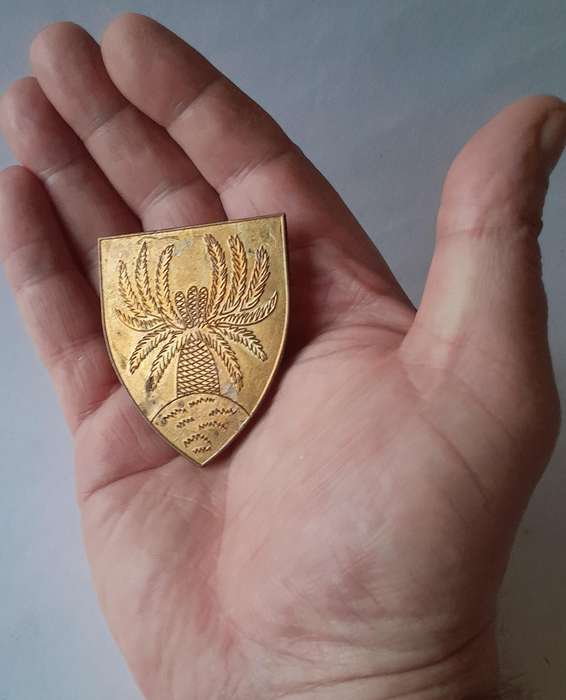 SADF 4 SAI Shoulder Flash (No Lucite).  Pins Intact.