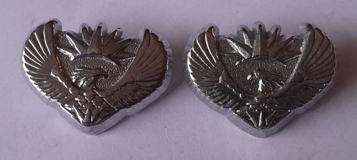 Pair SANDF Major Rank Badges.  Pins Intact.