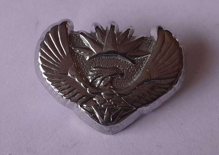 Pair SANDF Major Rank Badges.  Pins Intact.