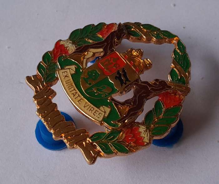 SA Prison Services Warrant Officer Rank Badge.